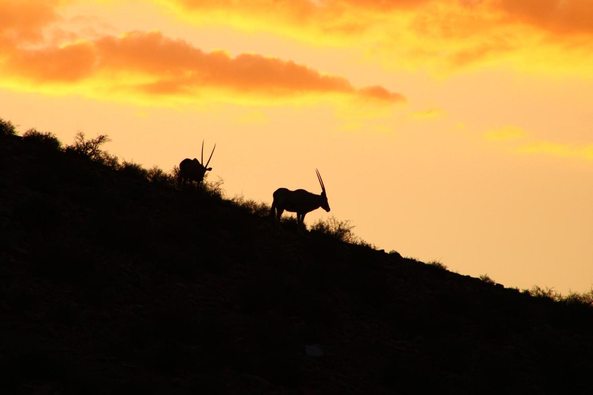 Bosch Luys Kloof Nature Reserve Ледісміт Екстер'єр фото