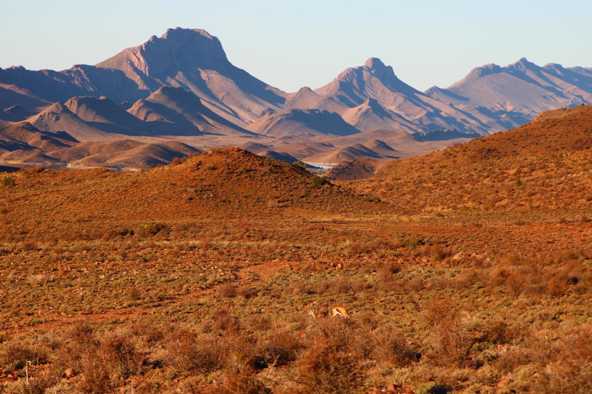 Bosch Luys Kloof Nature Reserve Ледісміт Екстер'єр фото